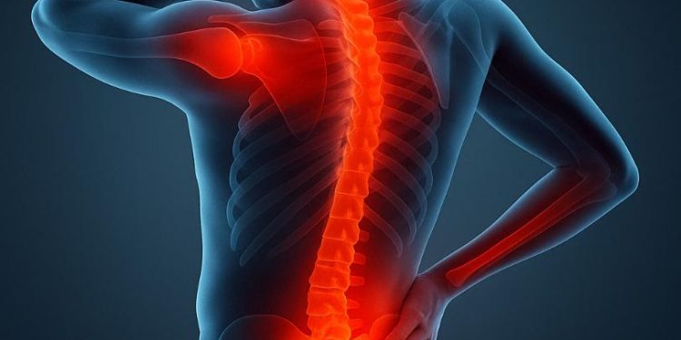 “I Suffered from Pain in My Hands, Legs, and Neck – It All Disappeared Thanks to Oren Zarif!”